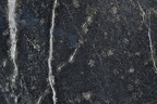 BLACK VENATO 3CM (WET)  LOT 3H949225 cl 124X70